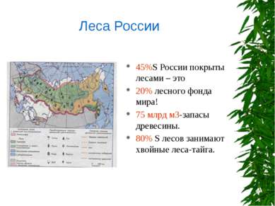 45%S России покрыты лесами – это 20% лесного фонда мира! 75 млрд м3-запасы др...