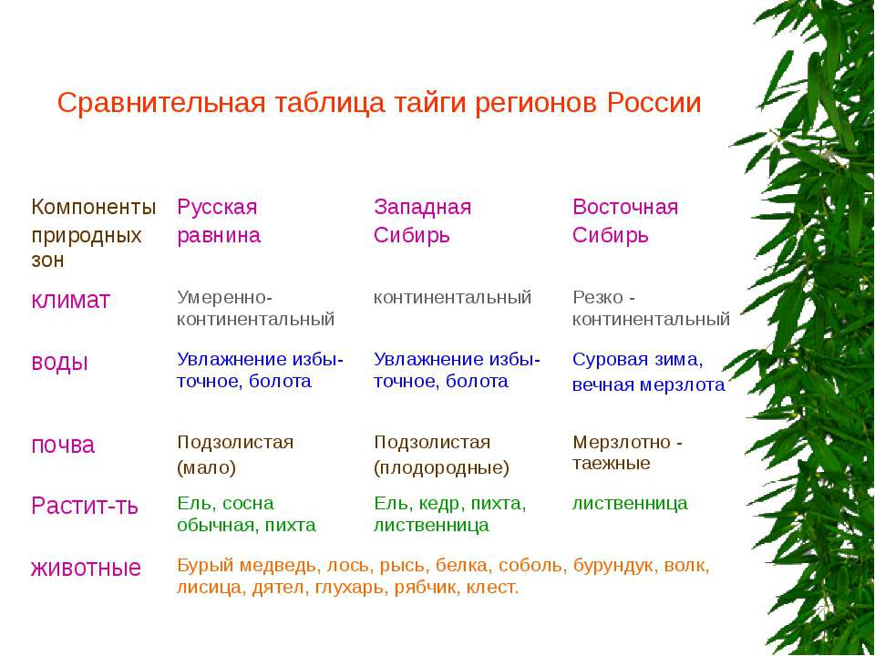 Природные зоны сибири таблица. Таблица Лесные зоны России Тайга. Природная зона Тайга таблица. Характеристика тайги России таблица. Зона тайги России таблица.