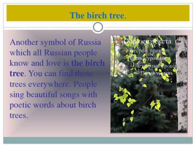 The birch tree. Another symbol of Russia which all Russian people know and lo...