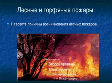 Лесные и торфяные пожары. Назовите причины возникновения лесных пожаров.
