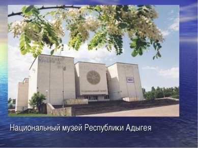 Национальный музей Республики Адыгея