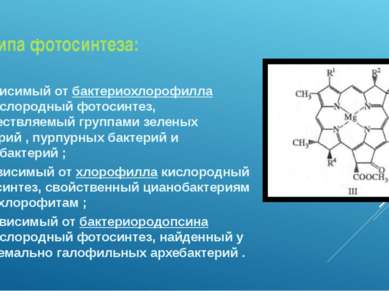 3 типа фотосинтеза: I - зависимый от бактериохлорофилла бескислородный фотоси...