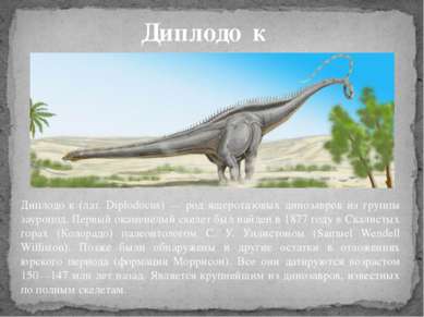 Диплодо к (лат. Diplodocus) — род ящеротазовых динозавров из группы зауропод....