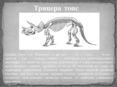 Трицера топсы (лат. Triceratops, от др.-греч. τρι, tri — «три», κέρας/keras— ...