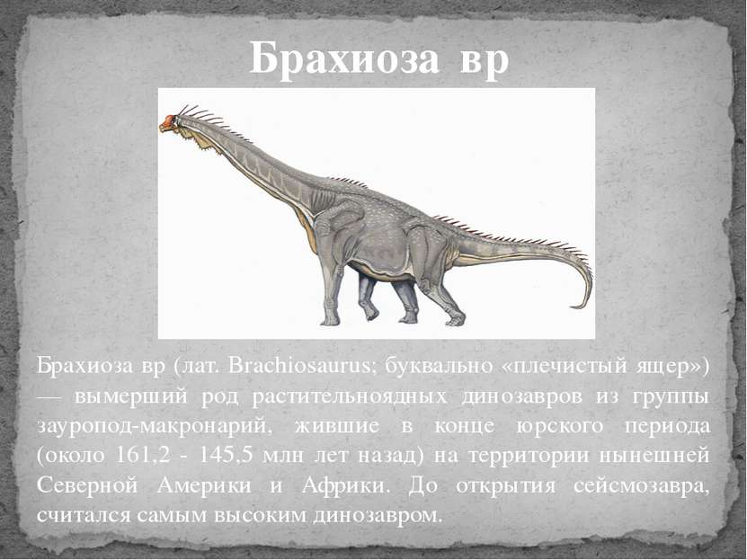 Брахиоза вр (лат. Brachiosaurus; буквально «плечистый ящер») — вымерший род р...