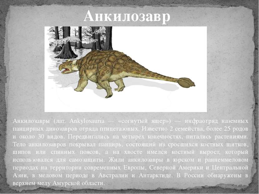 Анкилозавры (лат. Ankylosauria — «согнутый ящер») — инфраотряд наземных панци...