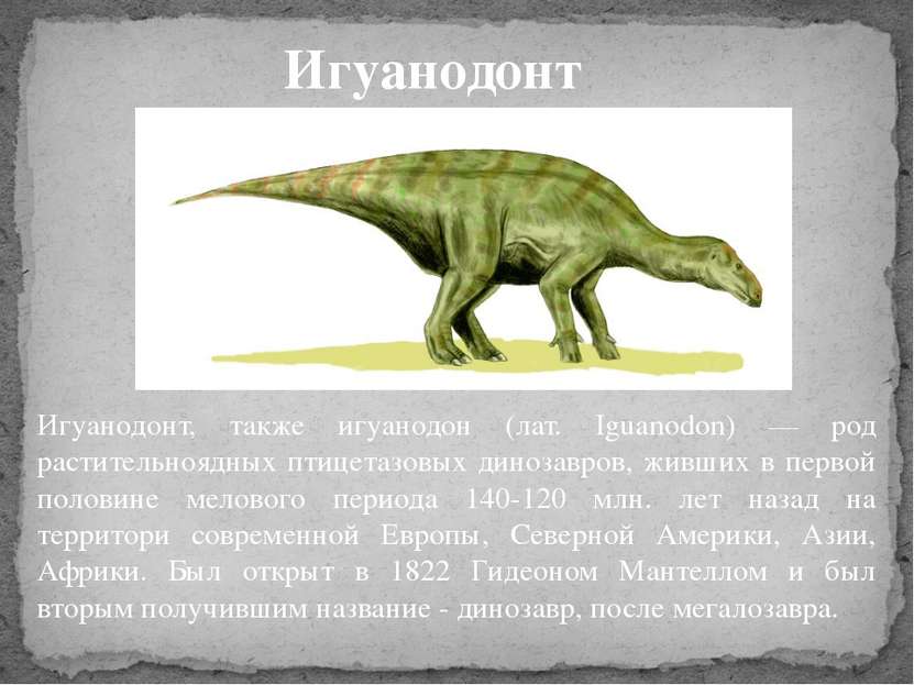 Игуанодонт, также игуанодон (лат. Iguanodon) — род растительноядных птицетазо...