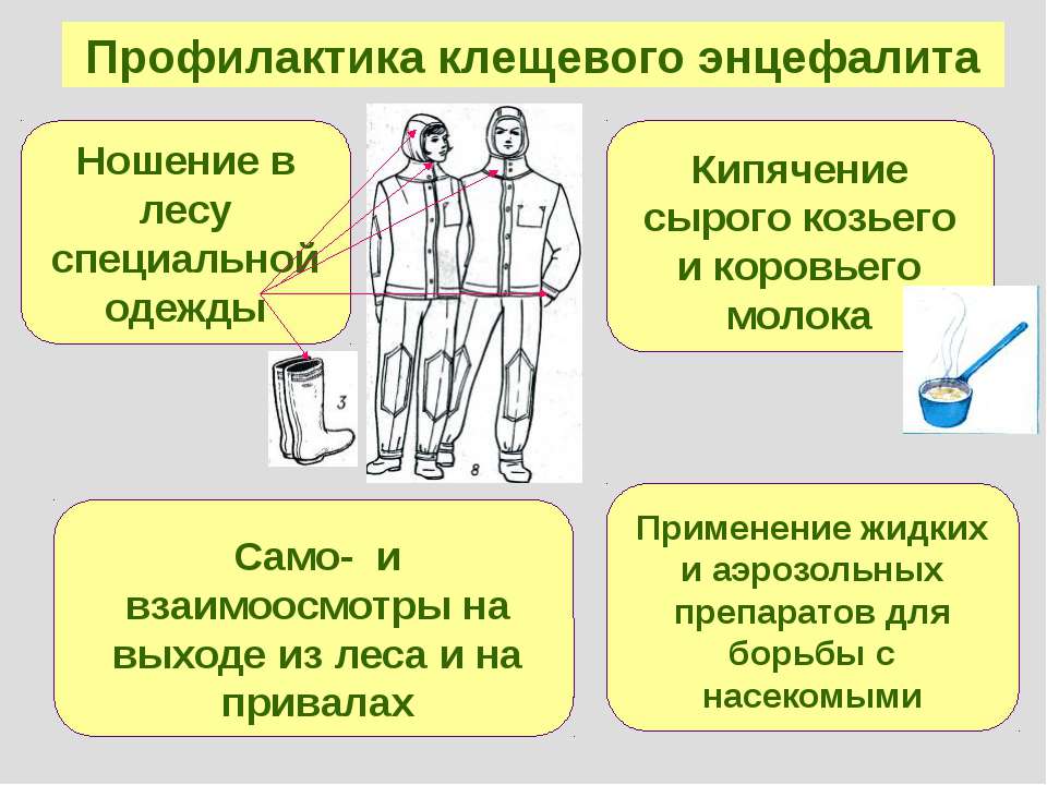 Клещевой энцефалит презентация для медиков