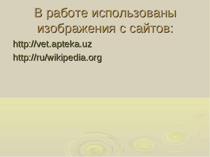 В работе использованы изображения с сайтов: http://vet.apteka.uz http://ru/wi...