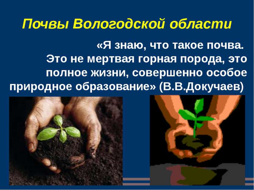 Почвы Вологодской области «Я знаю, что такое почва. Это не мертвая горная пор...