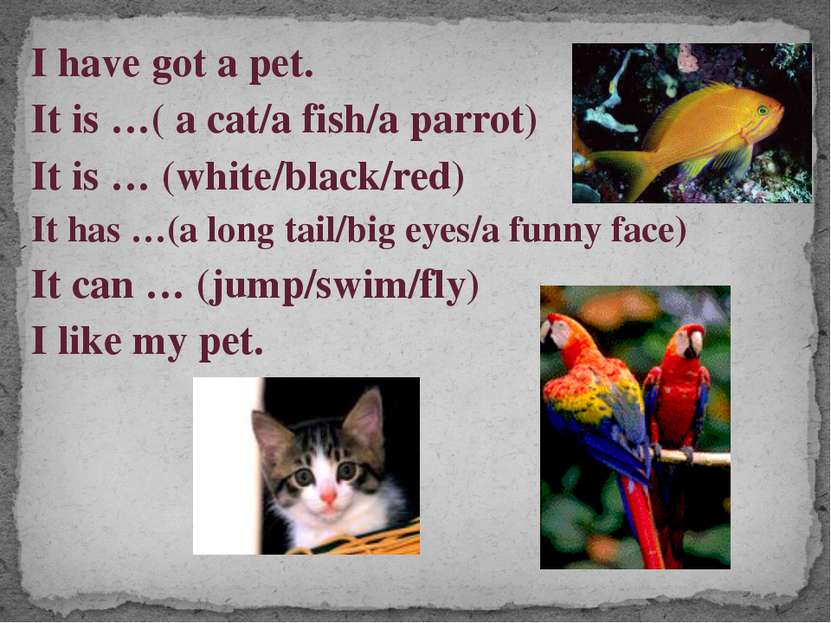I have got a pet. It is …( a cat/a fish/a parrot) It is … (white/black/red) I...