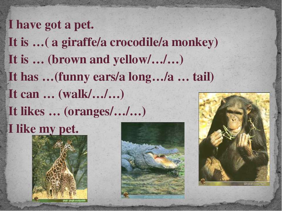 My pet английский 5 класс. Проекты на тему my Pet. Рассказ my Pet. Топик по английскому языку мое домашнее животное. My Pet topic 3 класс.