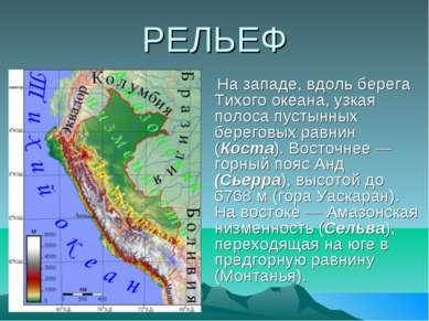 РЕЛЬЕФ На западе, вдоль берега Тихого океана, узкая полоса пустынных береговы...