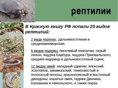 рептилии В Красную книгу РФ попали 20 видов рептилий: 2 вида черепах: дальнев...