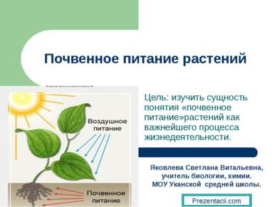 Почвенное питание растений Цель: изучить сущность понятия «почвенное питание»...
