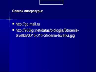 Список литературы: http://go.mail.ru http://900igr.net/datas/biologija/Stroen...