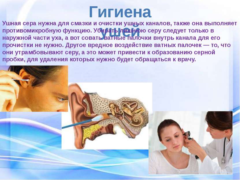 Гигиена ушей Ушная сера нужна для смазки и очистки ушных каналов, также она в...