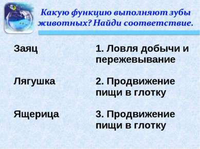 Заяц 1. Ловля добычи и пережевывание Лягушка 2. Продвижение пищи в глотку Яще...