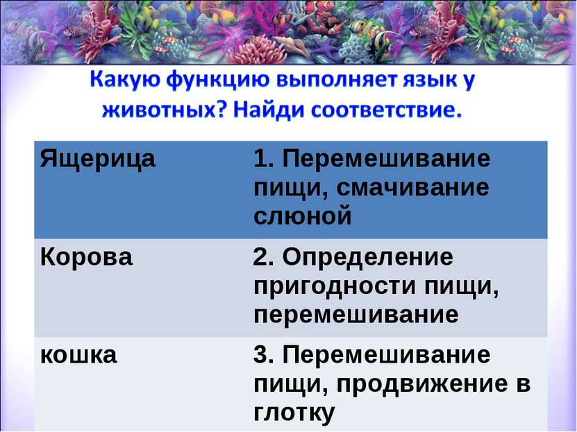 Ящерица 1. Перемешивание пищи, смачивание слюной Корова 2. Определение пригод...