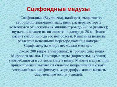 Сцифоидные медузы Сцифоидные (Scyphozoa), наоборот, выделяются свободноплаваю...