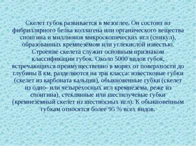 Скелет губок развивается в мезоглее. Он состоит из фибриллярного белка коллаг...