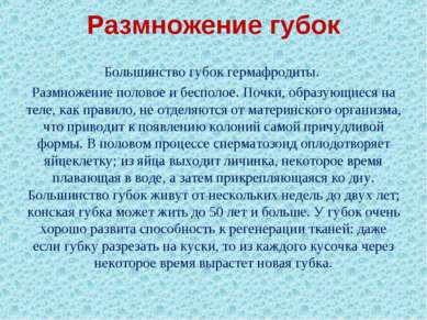 Размножение губок Большинство губок гермафродиты. Размножение половое и беспо...