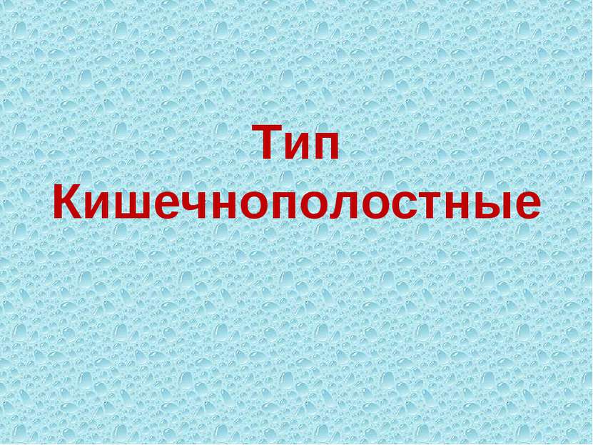 Тип Кишечнополостные