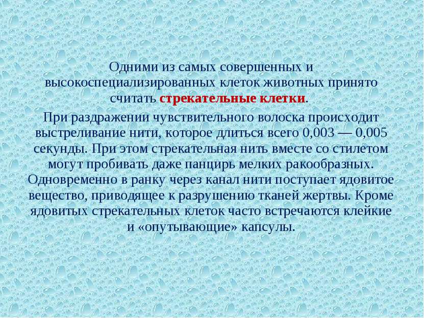 Одними из самых совершенных и высокоспециализированных клеток животных принят...