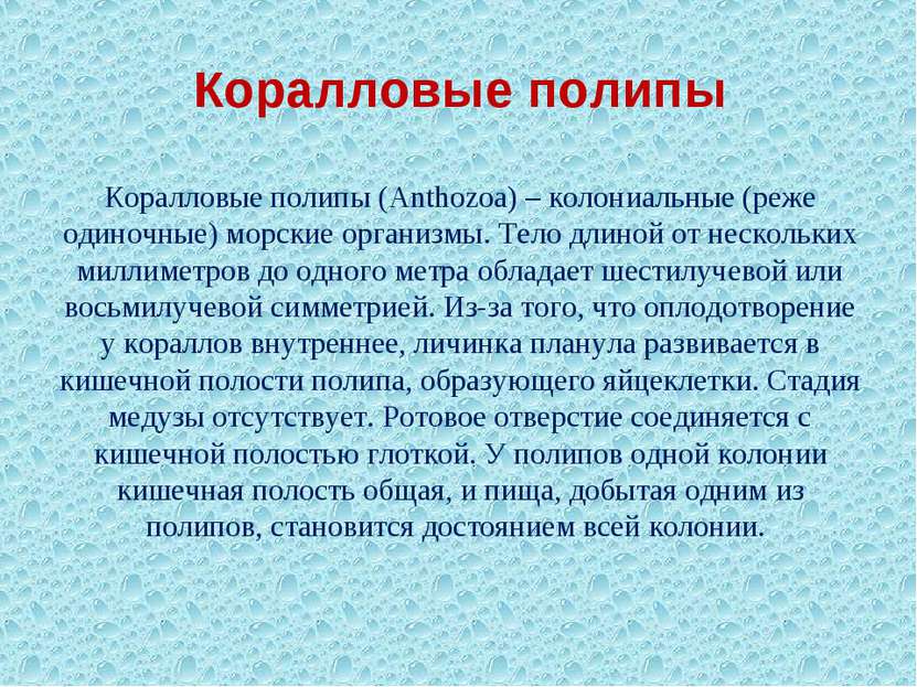 Коралловые полипы Коралловые полипы (Anthozoa) – колониальные (реже одиночные...