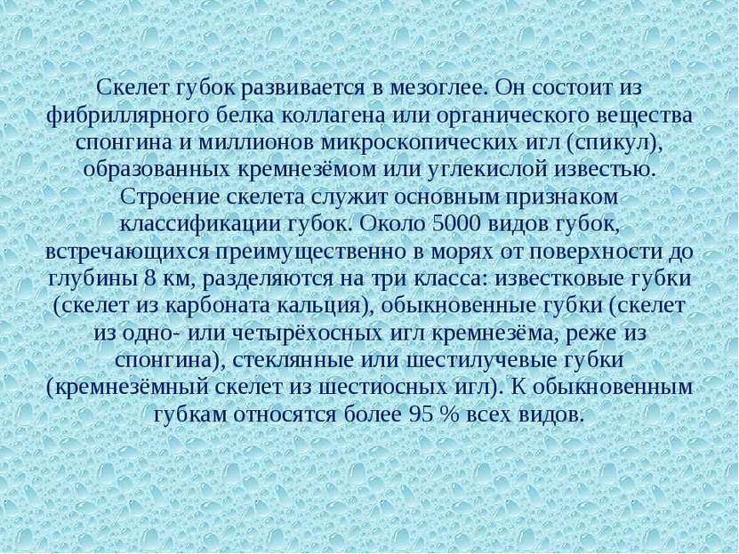 Скелет губок развивается в мезоглее. Он состоит из фибриллярного белка коллаг...