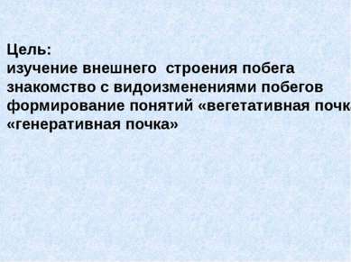 Цель: изучение внешнего строения побега знакомство с видоизменениями побегов ...