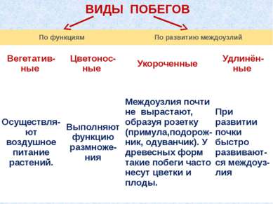 ВИДЫ ПОБЕГОВ По функциям По развитию междоузлий Вегетатив- ные Цветонос- ные ...