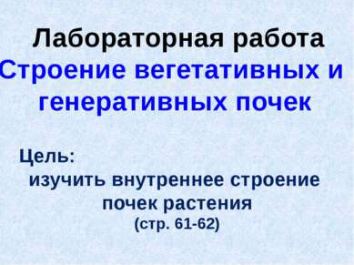 Лабораторная работа Строение вегетативных и генеративных почек Цель: изучить ...