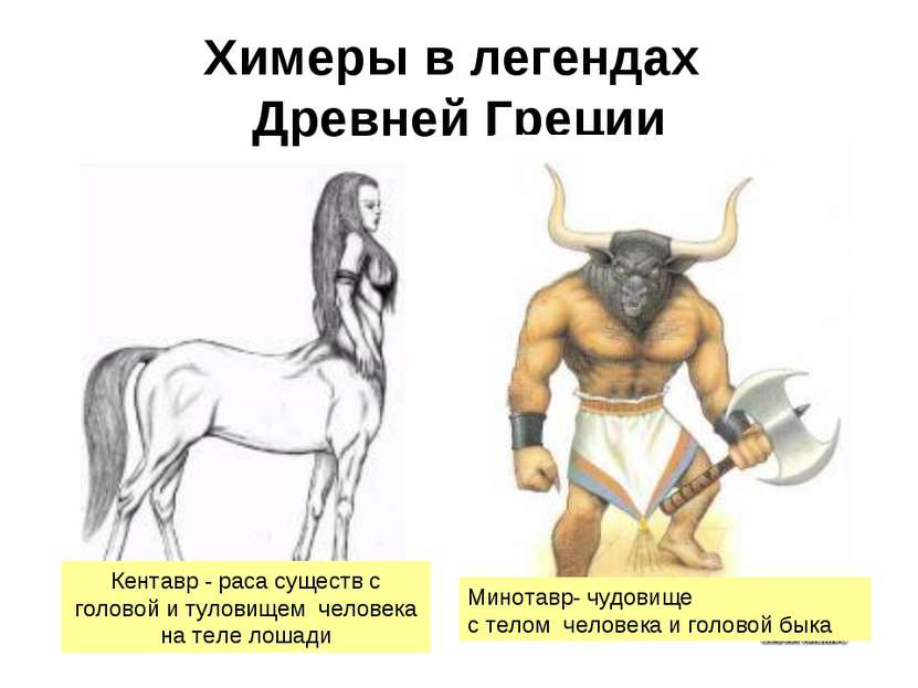 Химеры в легендах Древней Греции Кентавр - раса существ с головой и туловищем...