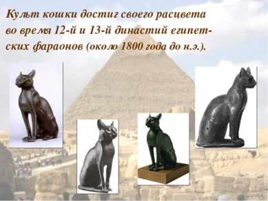 Культ кошки достиг своего расцвета во время 12-й и 13-й династий египет- ских...