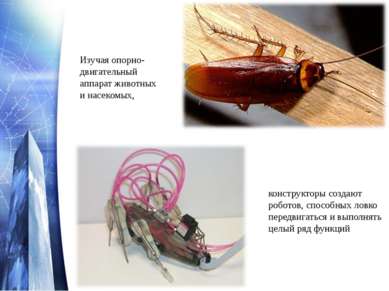 Изучая опорно-двигательный аппарат животных и насекомых, конструкторы создают...