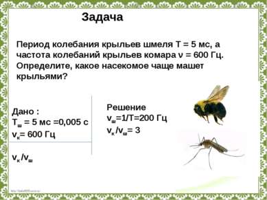Период колебания крыльев шмеля T = 5 мс, а частота колебаний крыльев комара ν...