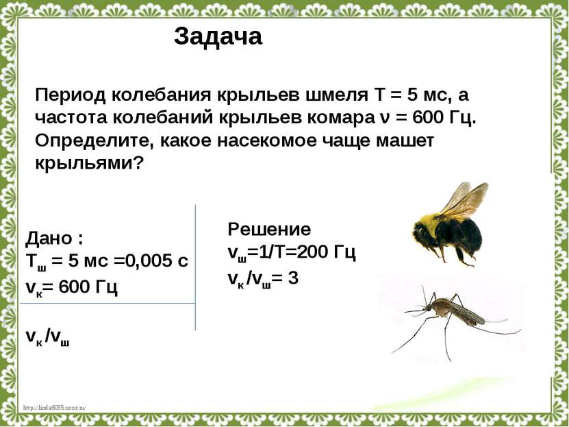 Период колебания крыльев шмеля T = 5 мс, а частота колебаний крыльев комара ν...