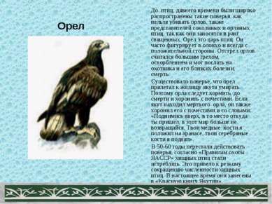 Орел До птиц, давнего времени были широко распространены такие поверья, как н...