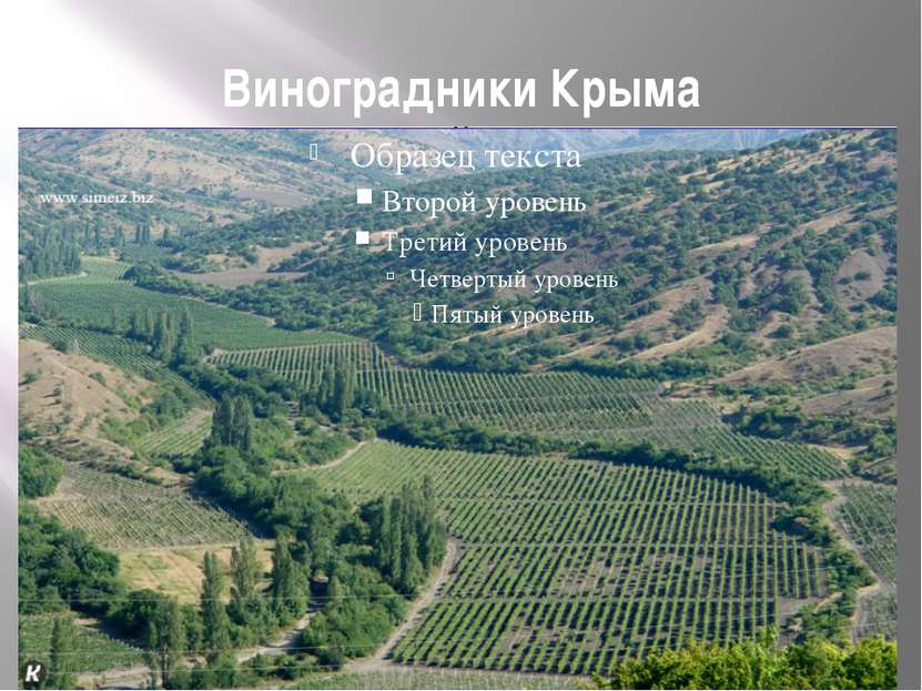 Виноградники Крыма