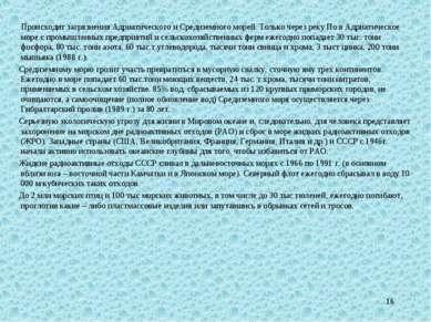 * Происходит загрязнения Адриатического и Средиземного морей. Только через ре...