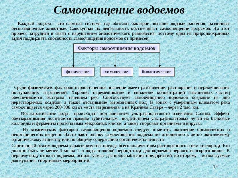 * Самоочищение водоемов Каждый водоем – это сложная система, где обитают бакт...