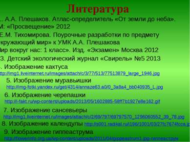Литература 4. Изображение кактуса http://img1.liveinternet.ru/images/attach/c...