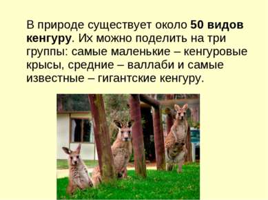 В природе существует около 50 видов кенгуру. Их можно поделить на три группы:...
