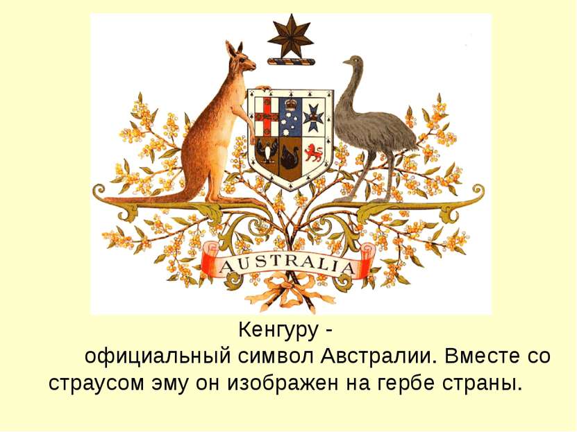 Кенгуру - официальный символ Австралии. Вместе со страусом эму он изображен н...