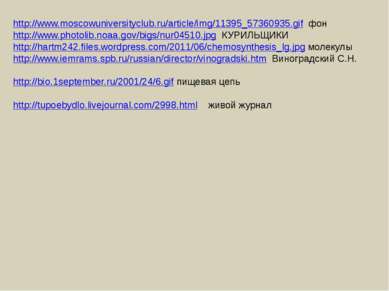 http://www.moscowuniversityclub.ru/article/img/11395_57360935.gif фон http://...