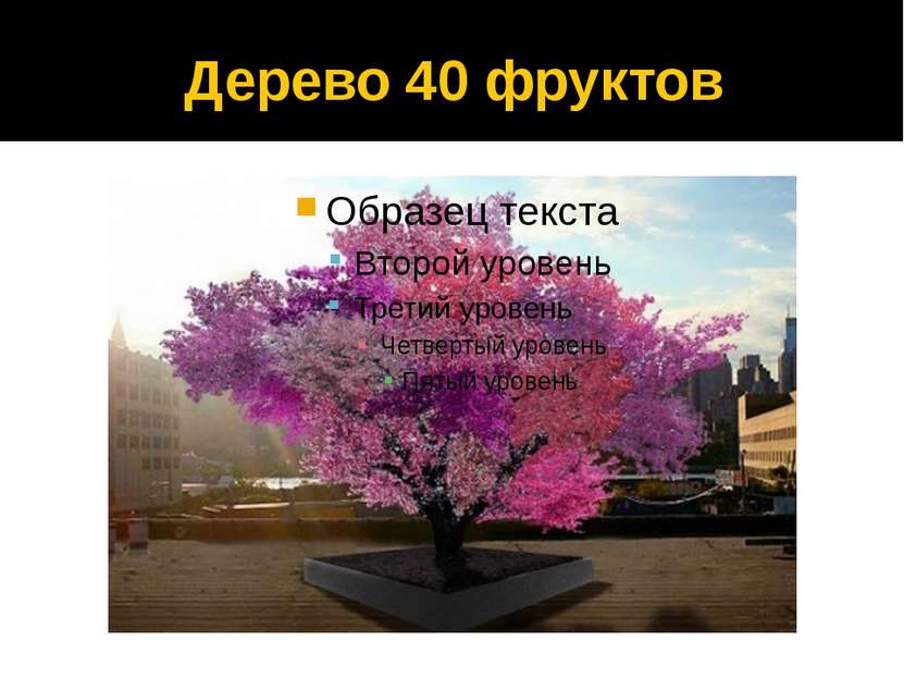 Дерево 40 фруктов