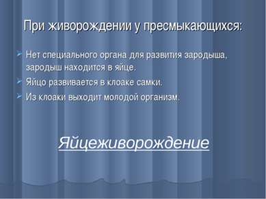 При живорождении у пресмыкающихся: Нет специального органа для развития зарод...