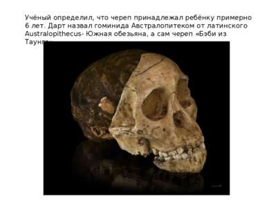 Учёный определил, что череп принадлежал ребёнку примерно 6 лет. Дарт назвал г...