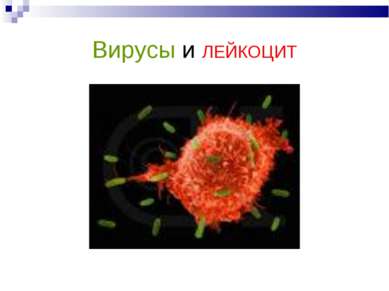 Вирусы и ЛЕЙКОЦИТ